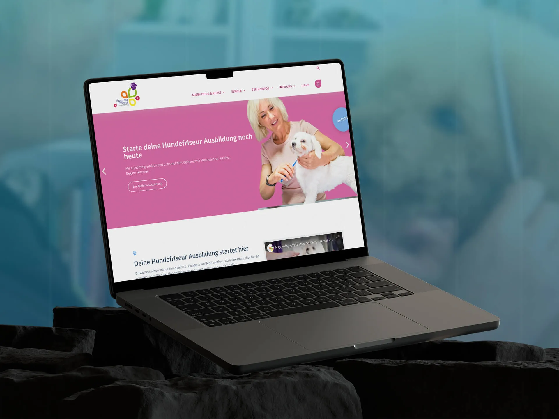 Website Design HappyDogGroomers